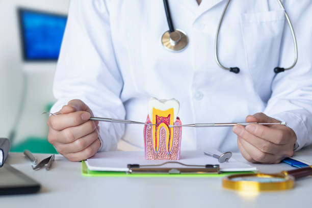 Best Emergency Tooth Extraction  in Smithville, OH